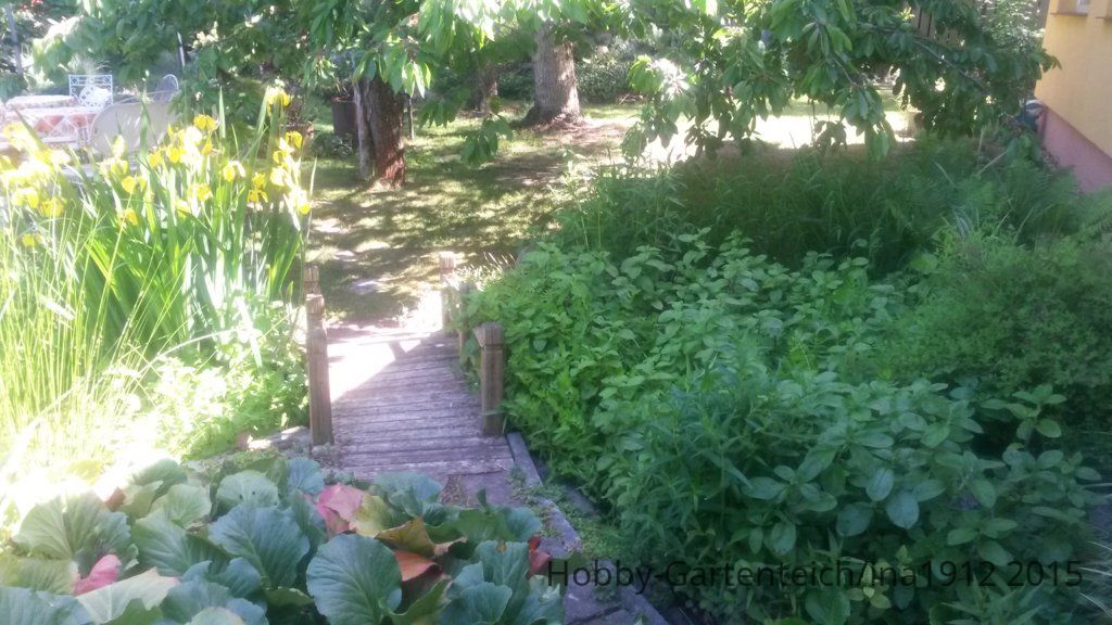 20150605_155625.jpg