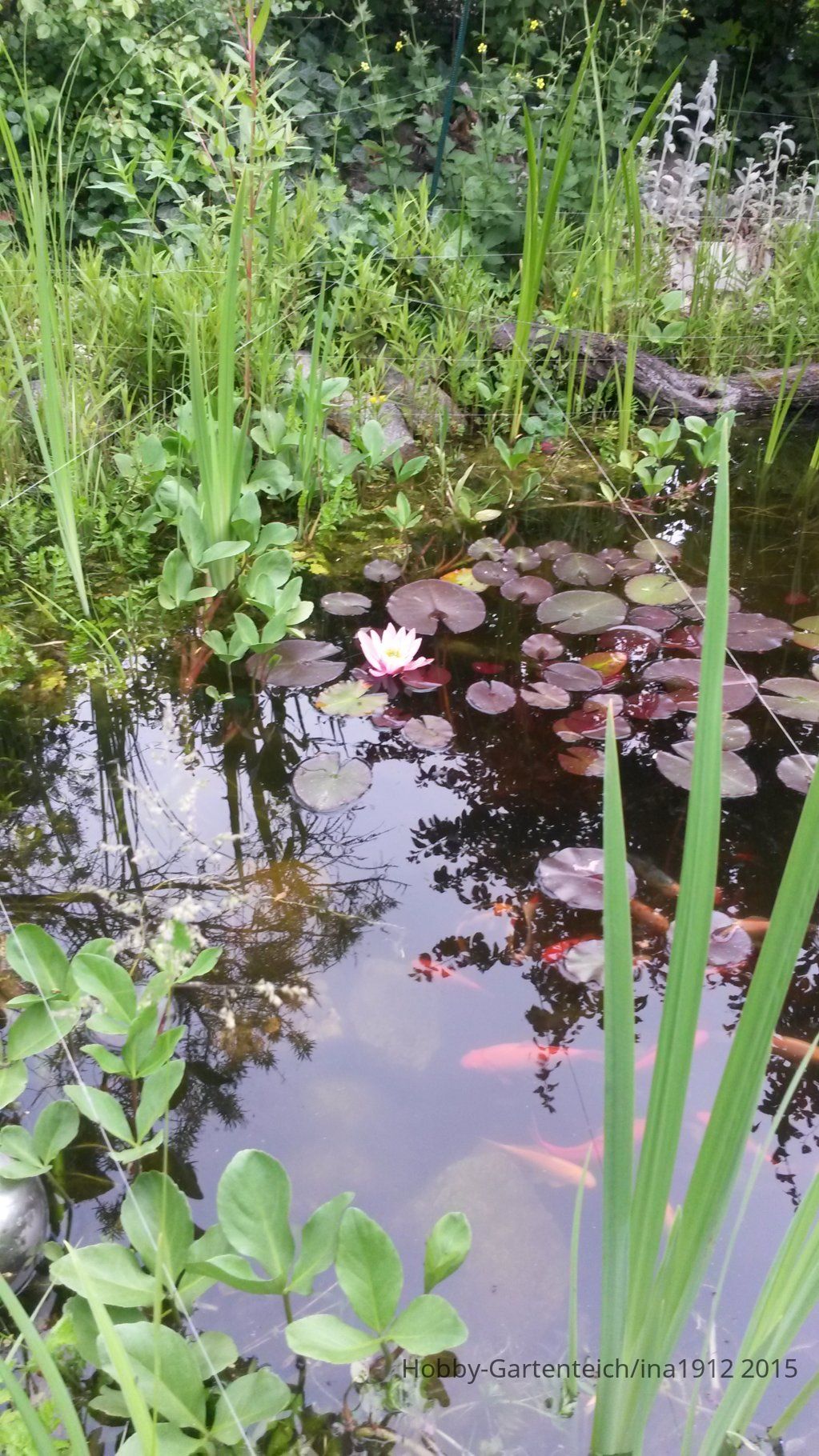 20150607_102910.jpg