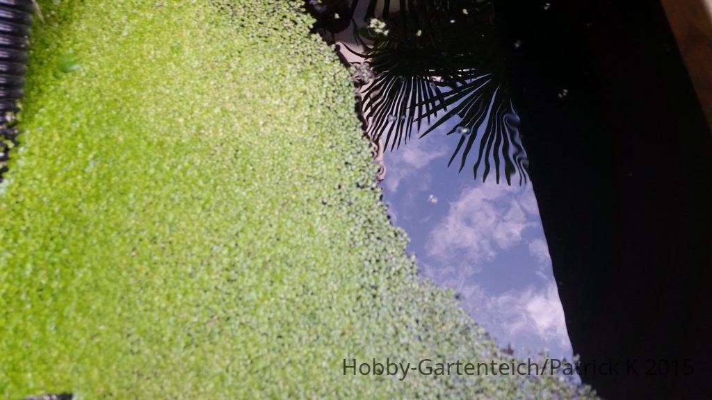 20150609_114116.jpg