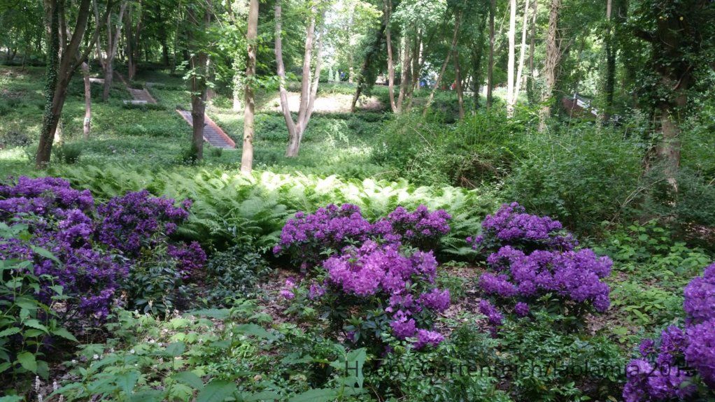 20150609_160027.jpg