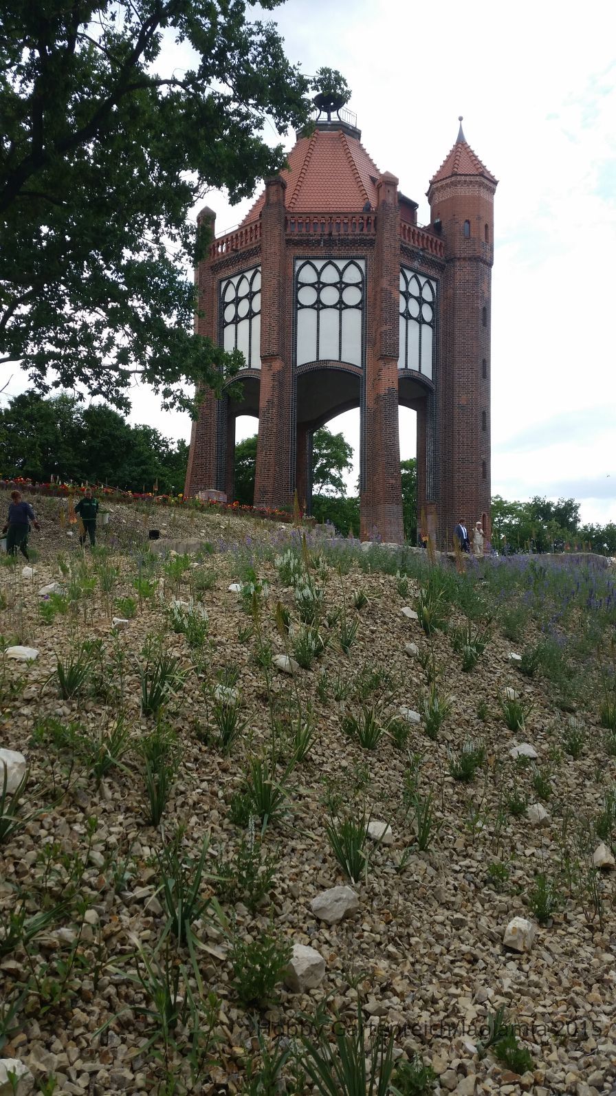 20150609_162823.jpg