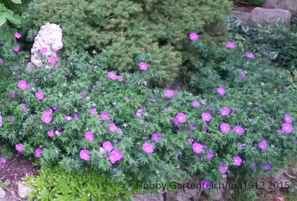 20150613_183429.jpg