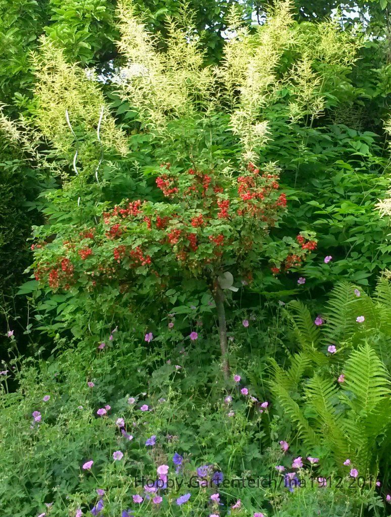 20150616_185154_20150825064311527.jpg