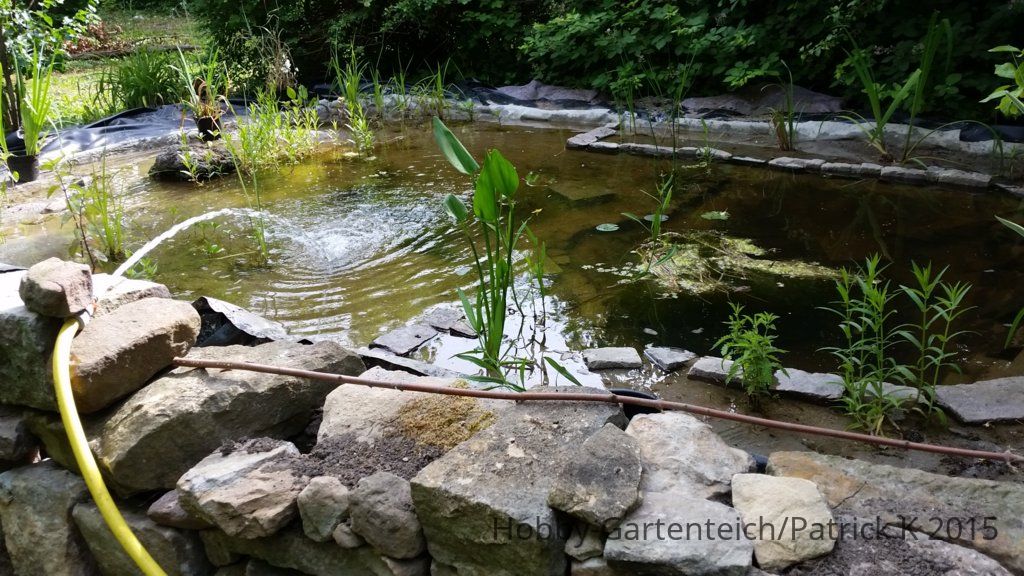 20150617_172418.jpg
