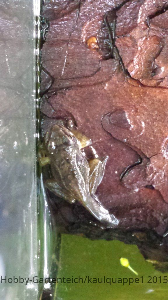 20150617_194235.jpg