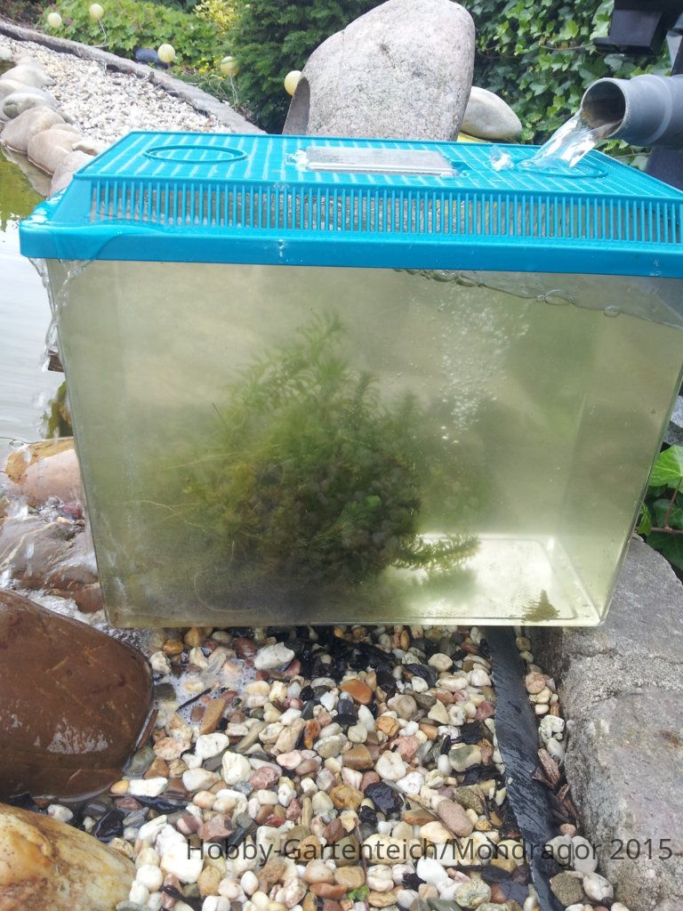 20150620_113529.jpg