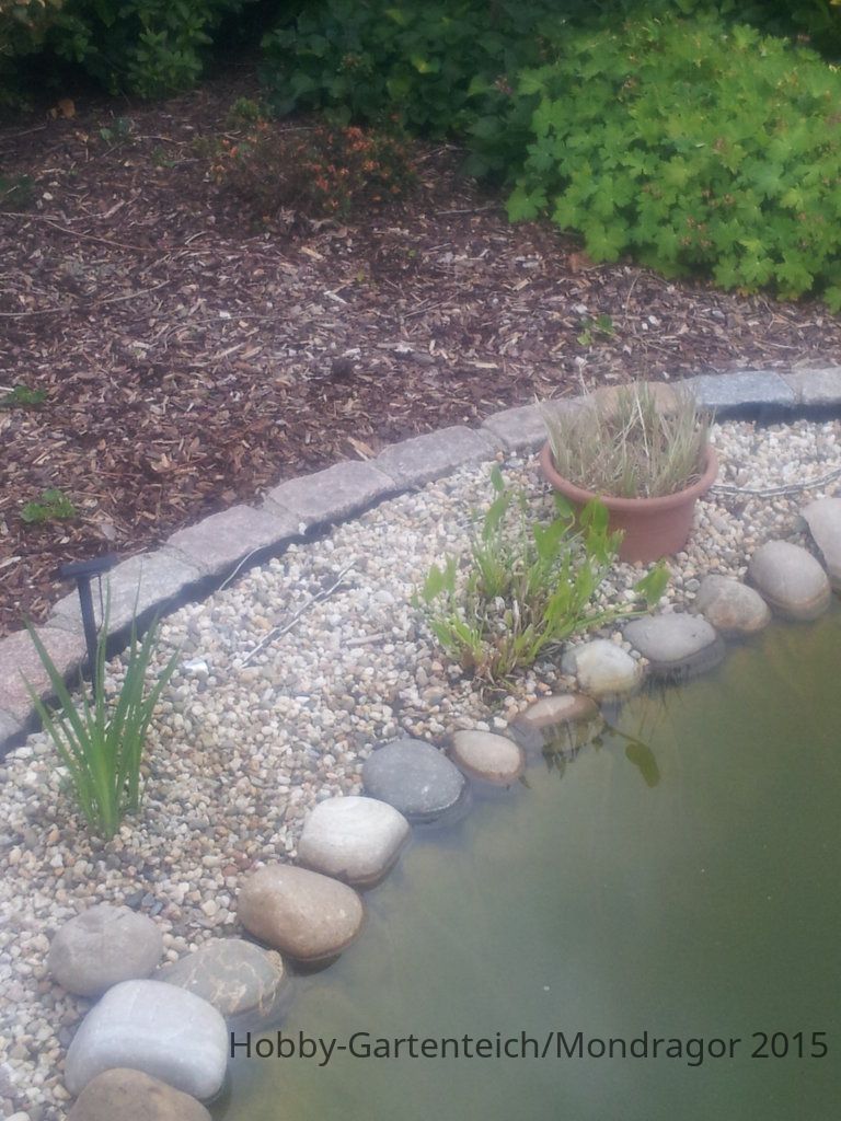 20150620_182118.jpg