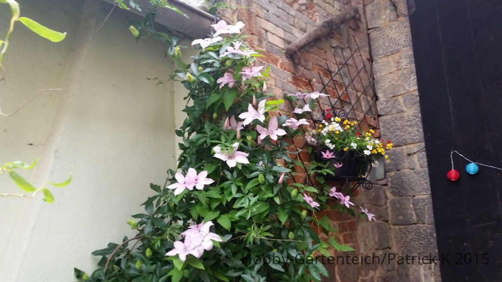 20150621_174630.jpg