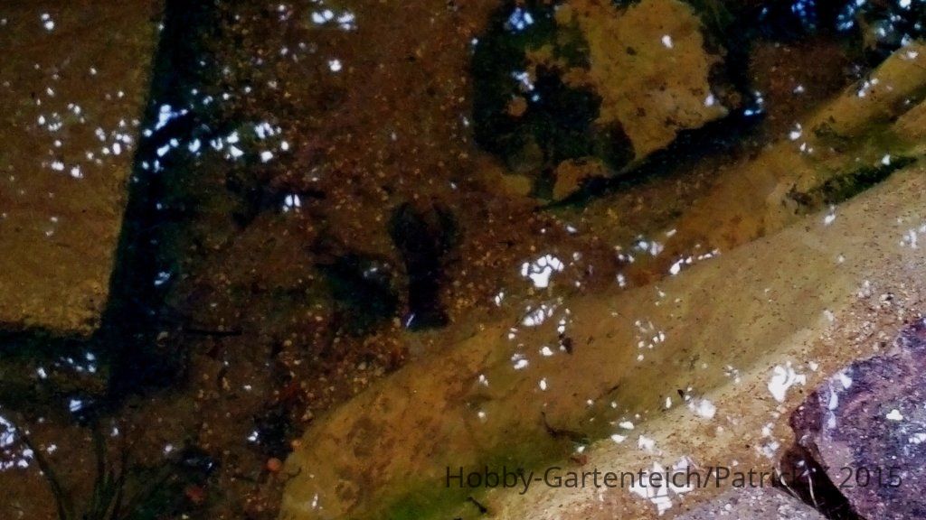 20150625_183000.jpg