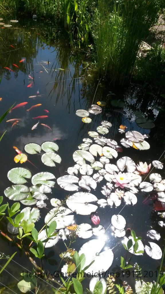 20150628_122925.jpg