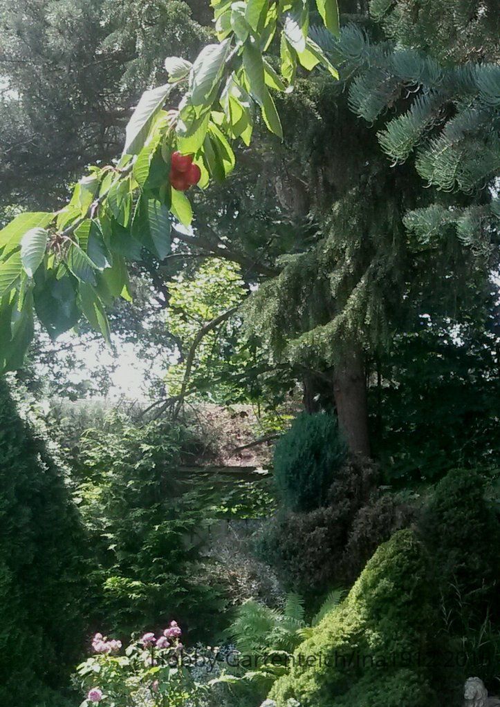 20150704_114626-1_20150825064745655.jpg