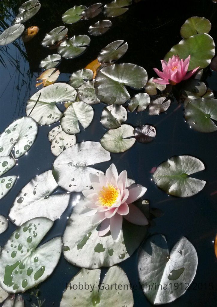 20150705_105058.jpg