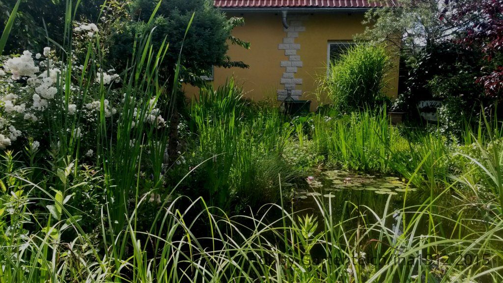 20150710_160605.jpg