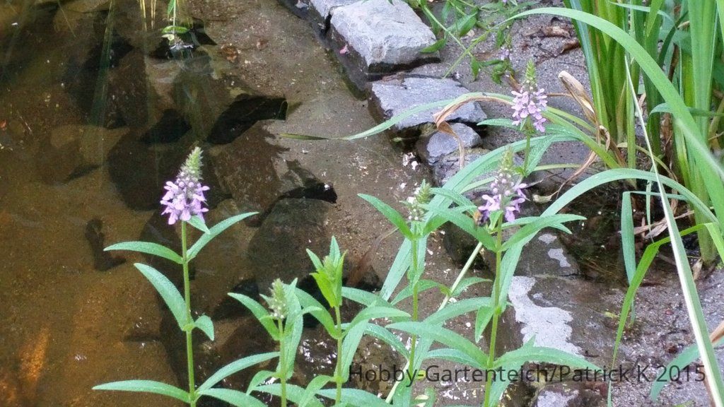 20150710_190622.jpg
