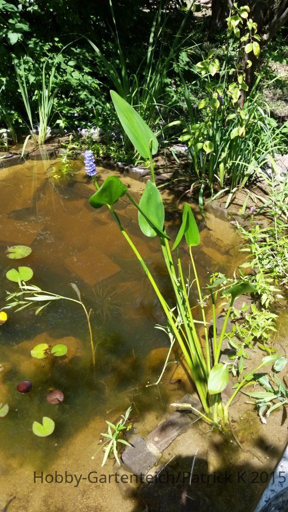 20150716_122614.jpg