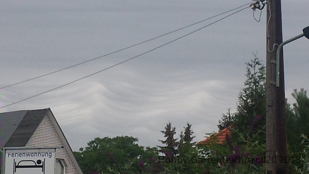 20150719_112249.jpg
