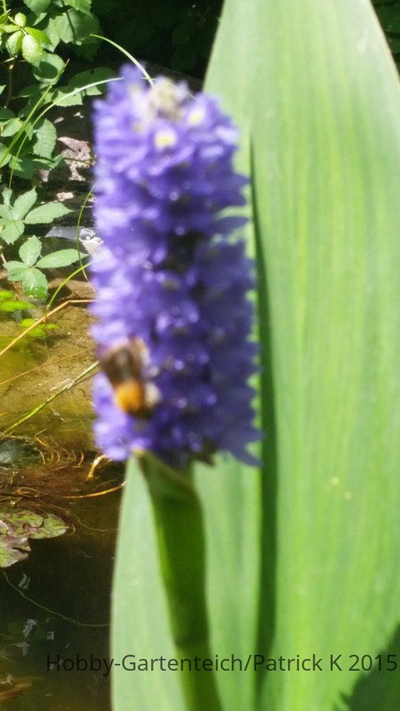 20150721_130457.jpg