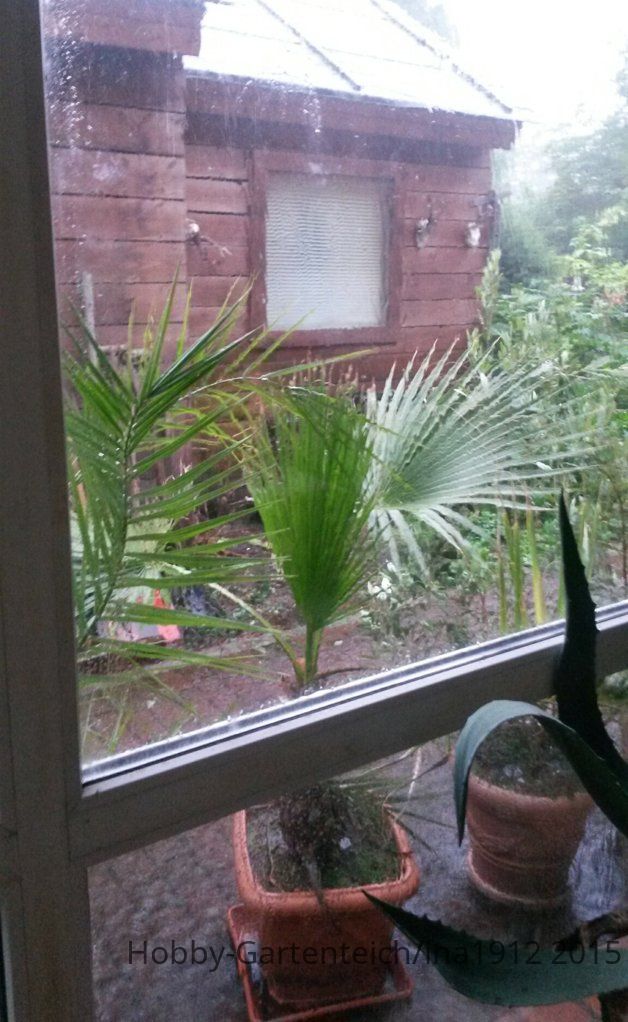 20150727_173704.jpg
