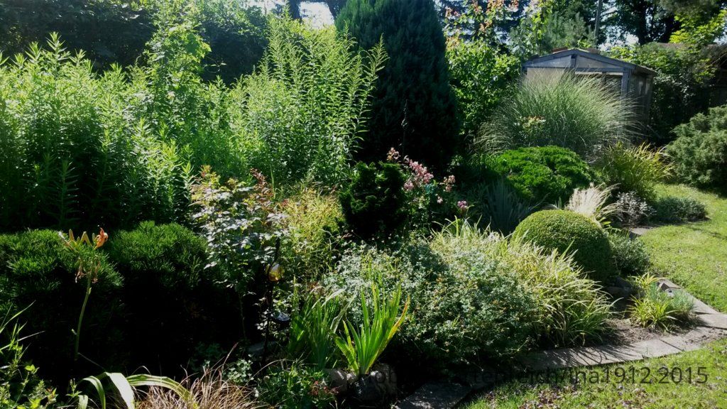 20150802_103901.jpg