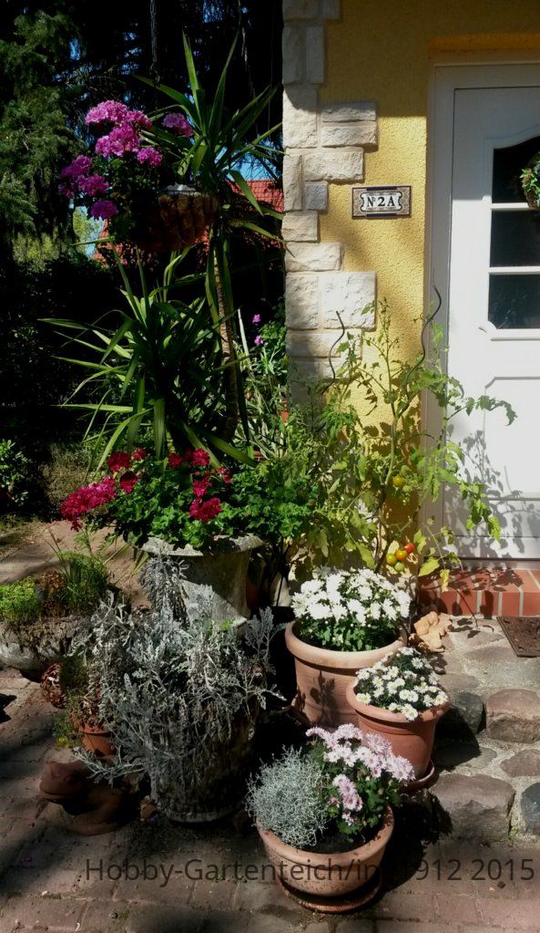 20150809_150345.jpg