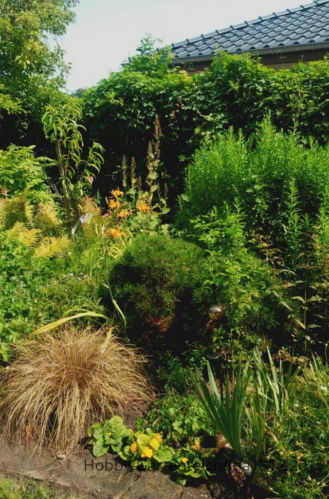 20150810_132937.jpg