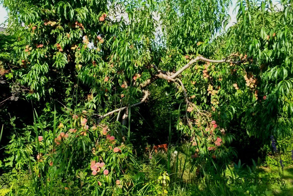 20150824_165145.jpg