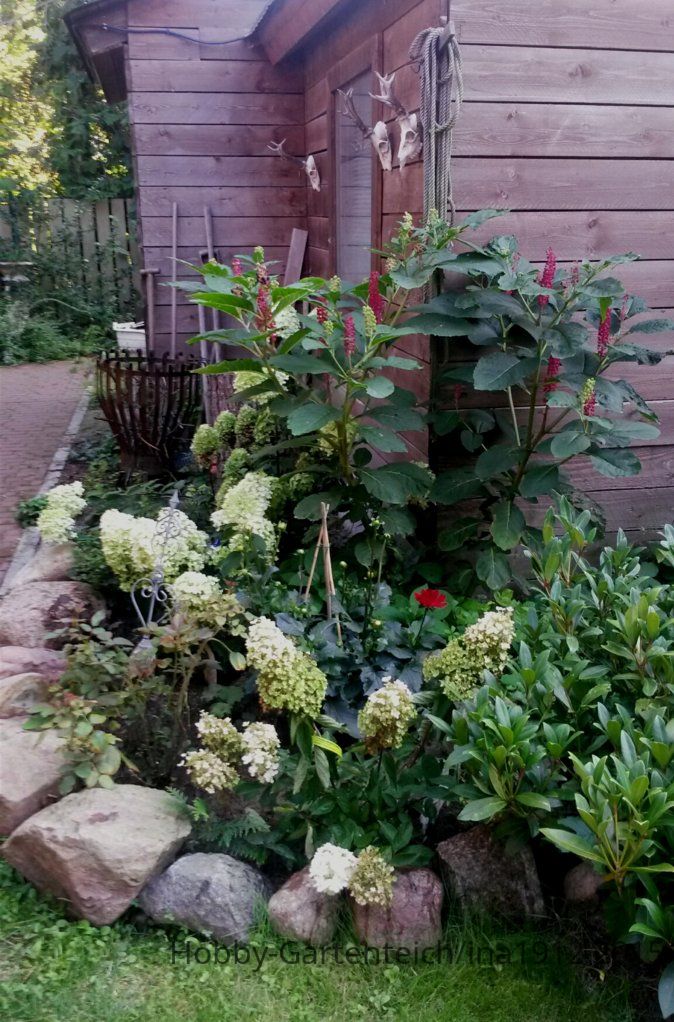 20150830_175443.jpg