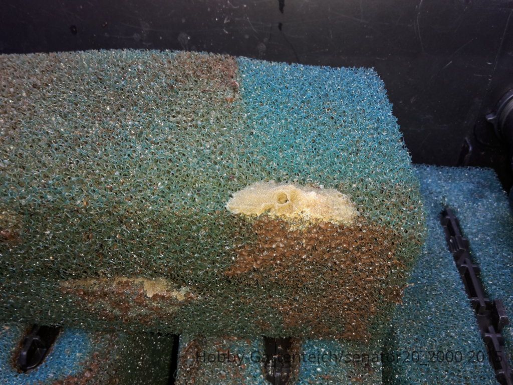 20150831_170241.jpg