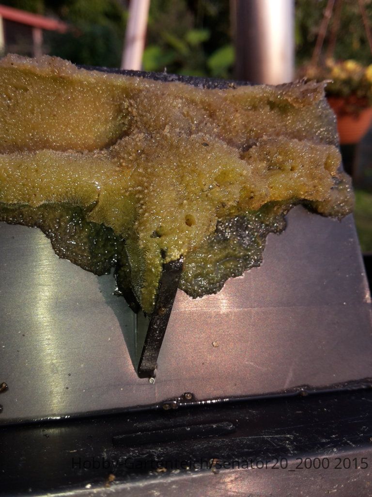 20150831_175133.jpg