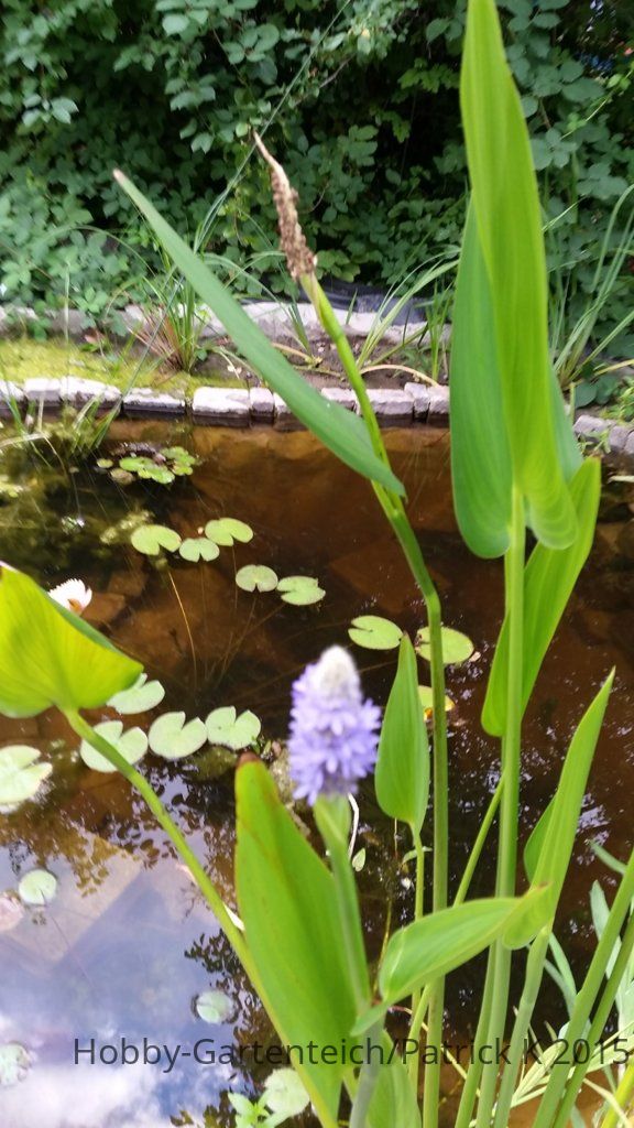20150902_182144.jpg