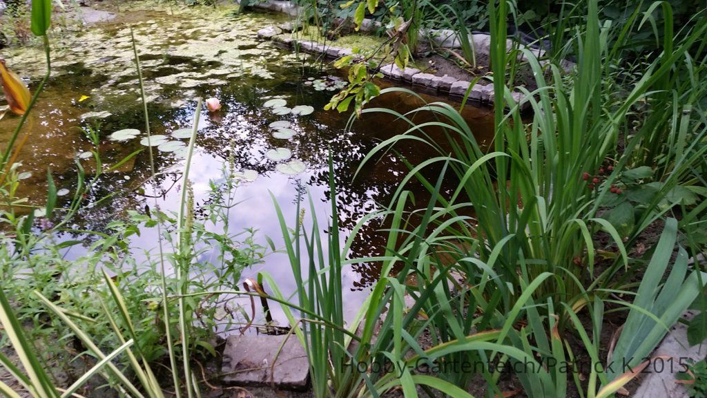 20150902_183818.jpg