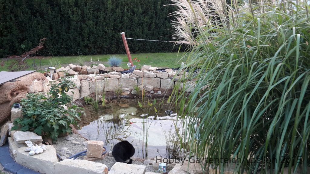 20150908_194823.jpg