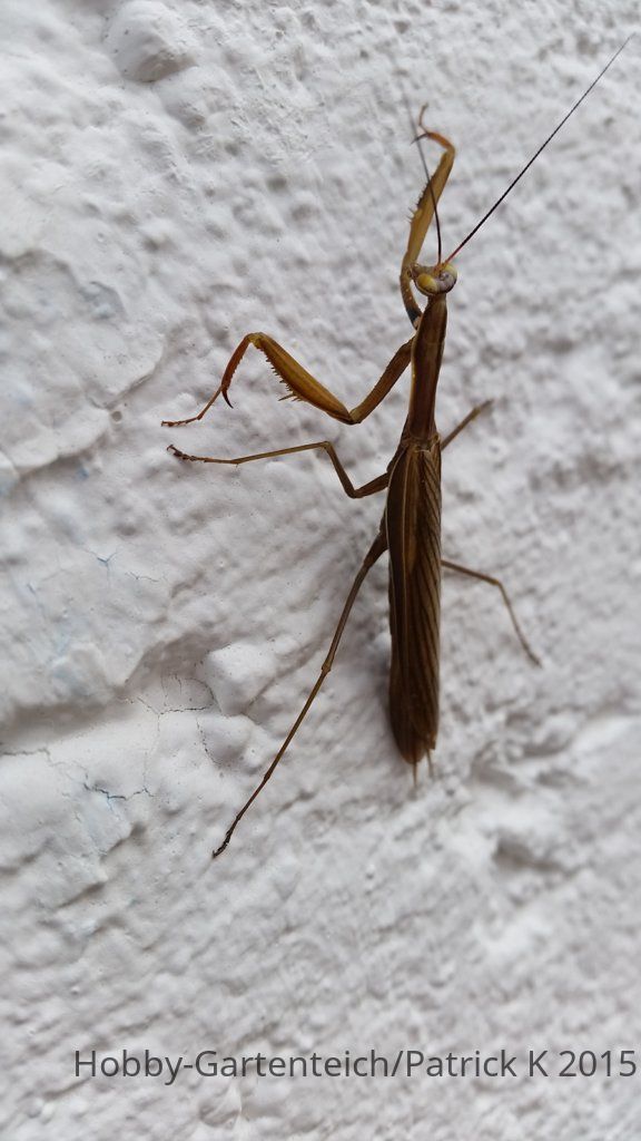 20150916_154253.jpg