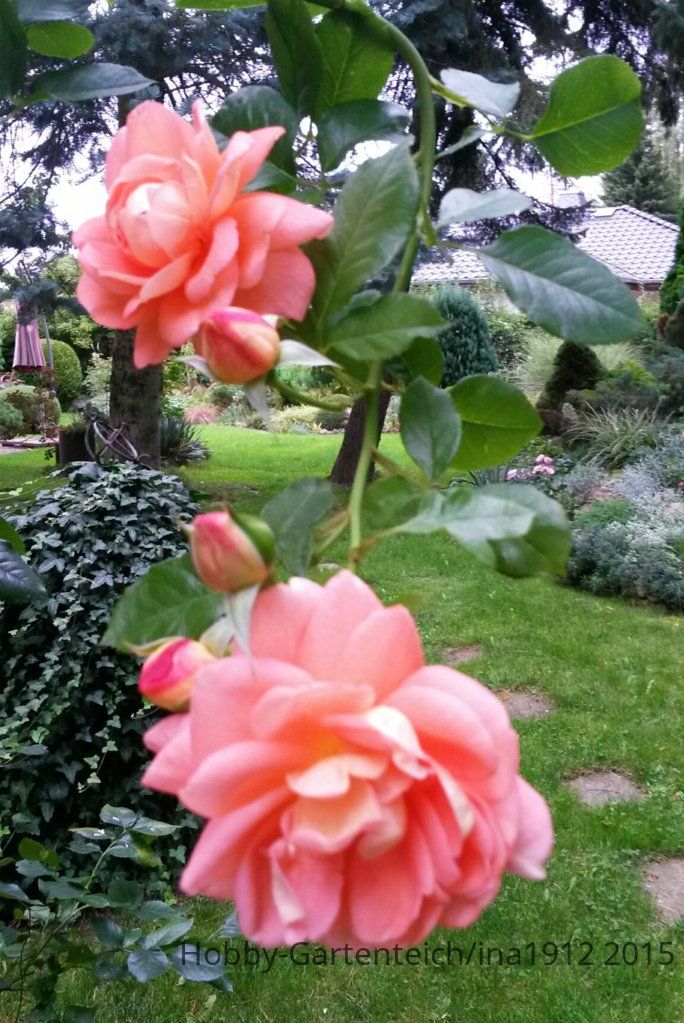 20150916_170624.jpg