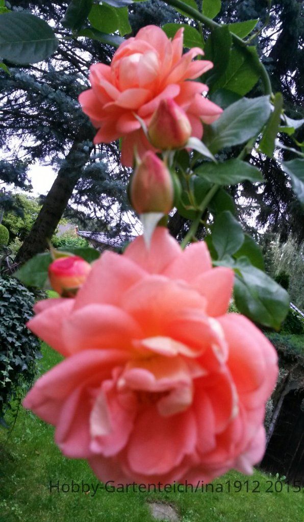 20150916_170631.jpg