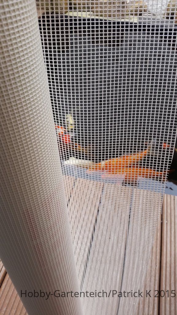 20150920_105344.jpg