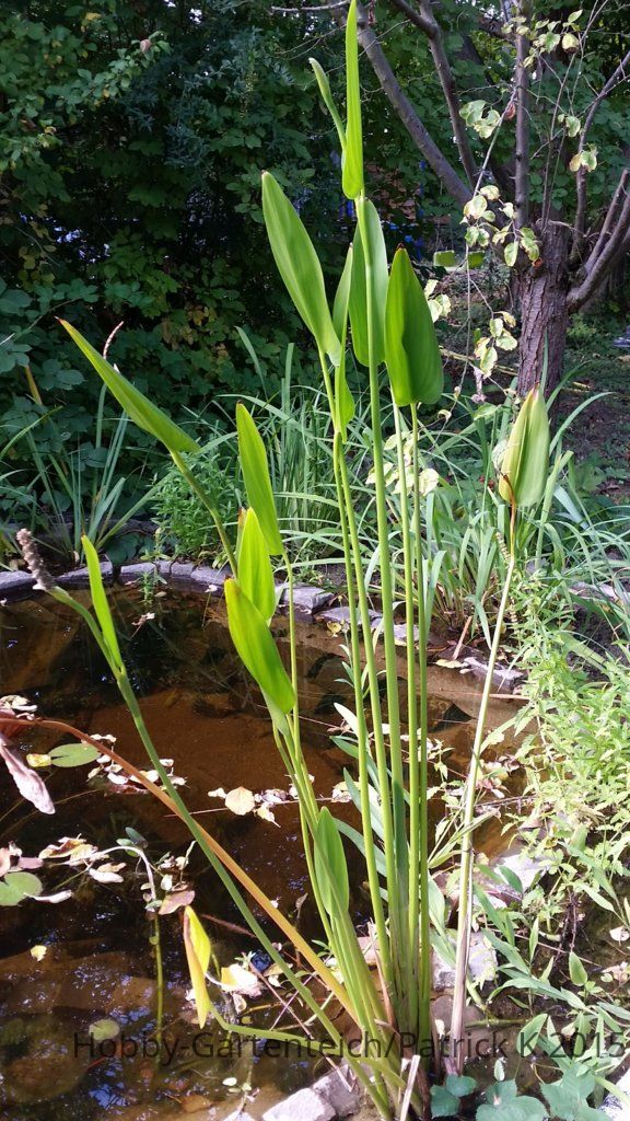 20150927_150219.jpg