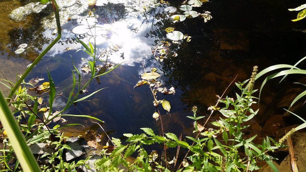 20150927_150553.jpg