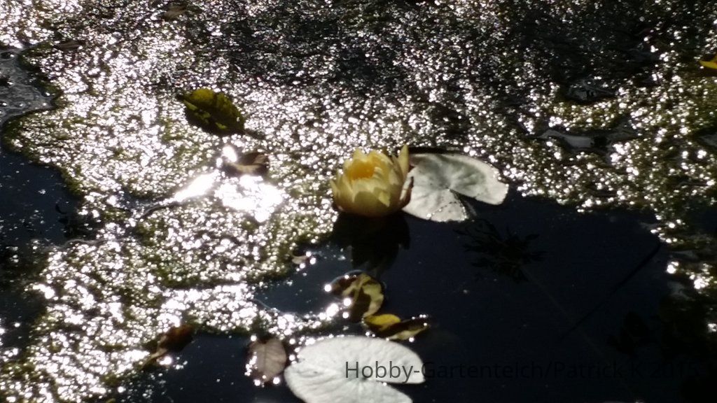 20150927_150743.jpg
