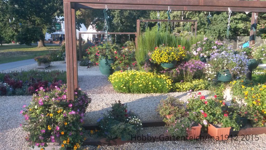 20150927_165855.jpg