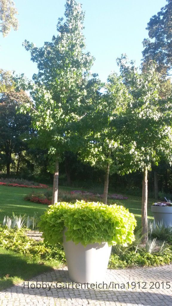 20150927_171922.jpg
