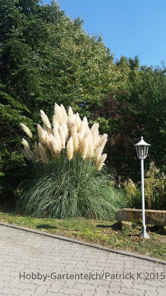 20151003_132556.jpg
