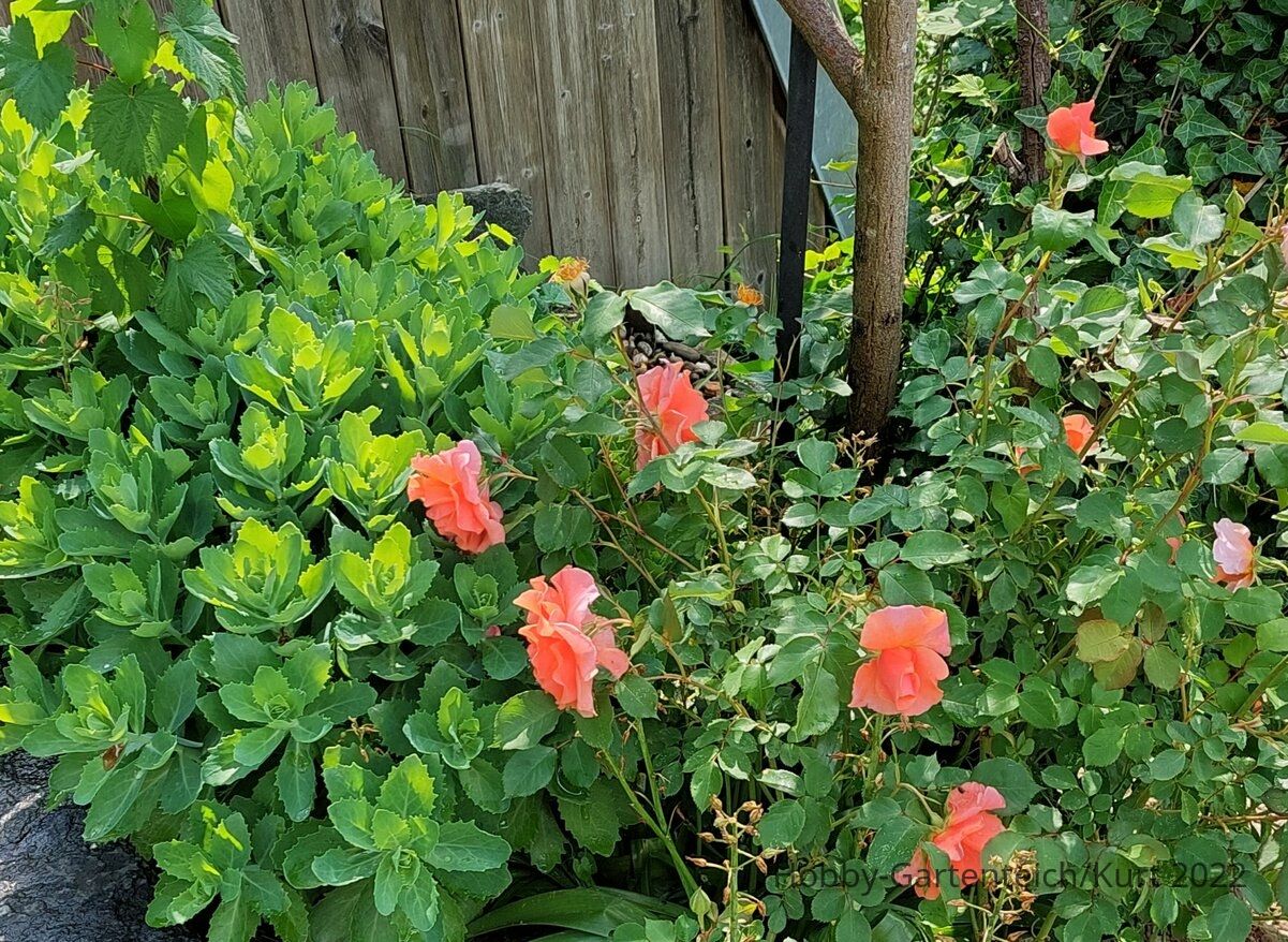 20220519_105431.jpg
