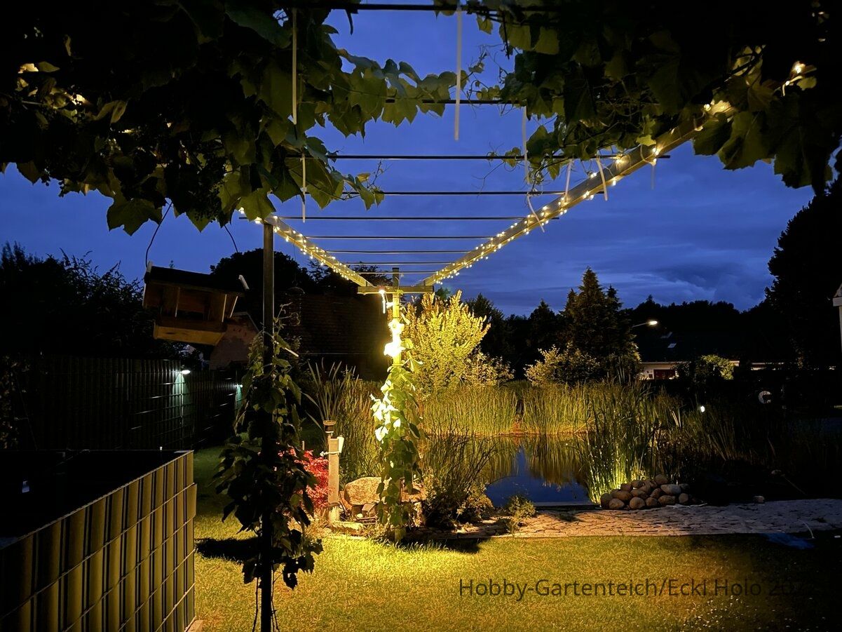 38B0EC65-D759-4AED-BC84-1F469B901860.jpeg