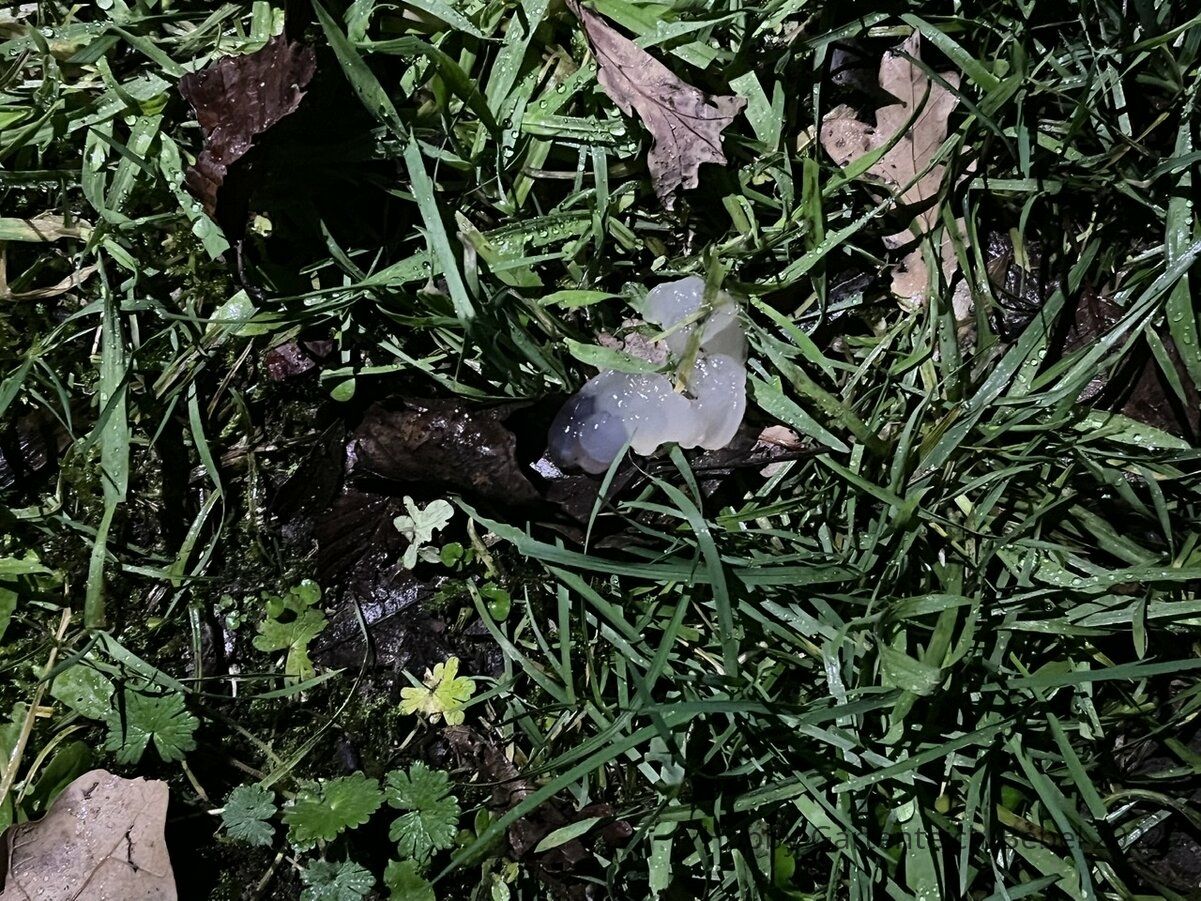 65519B0C-5234-40A5-807B-E23A7EB9B6B1.jpeg