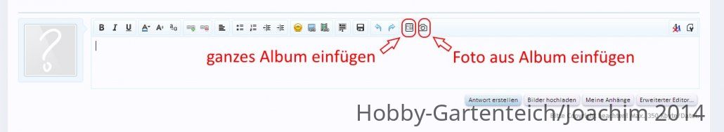 album_bilder_einfügen_01.jpg