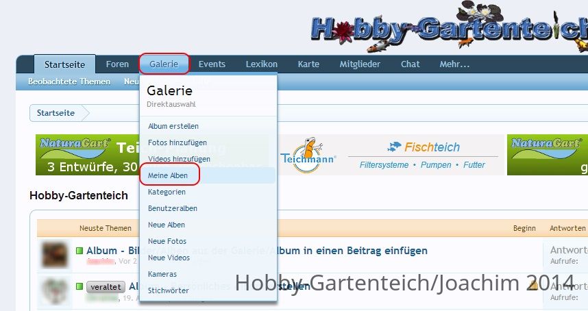 album_bilder_einfügen_02.jpg