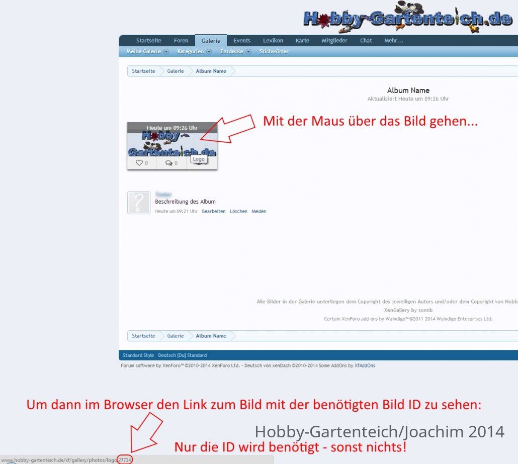 album_bilder_einfügen_04.jpg