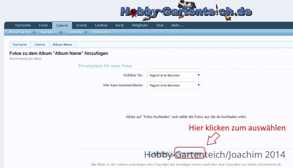 album_erstellen_05.jpg