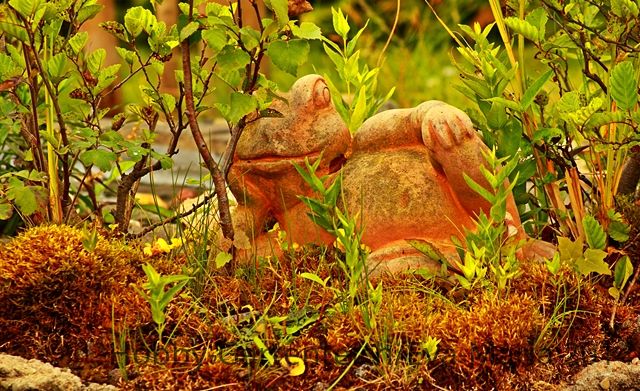 big brother is watching you_Teichfrosch_640.JPG